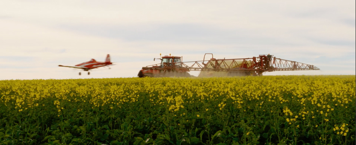 Crop Spraying: Aerial Application Vs Ground Application